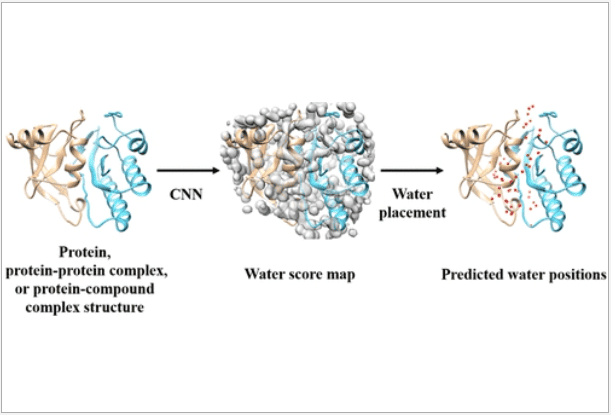 GalaxyWater-CNN: Prediction of Water Positions on the Protein Structure by a 3D-Convolutional Neural Network